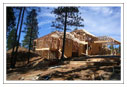 Holmes and Son Contracting A House in Progression